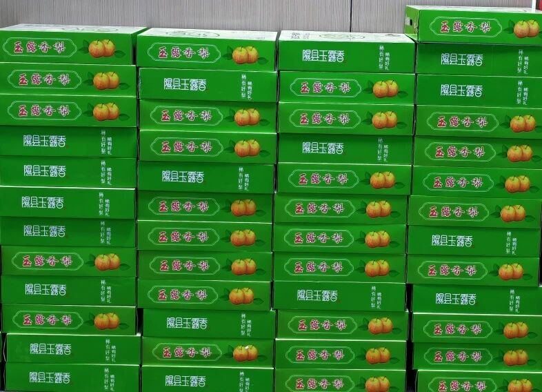 微信图片_2026-03-27_162727_222.jpg 微信图片_2026-03-27_162727_222.jpg